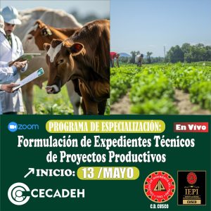 1GRUPO-2025 - 8MAYO-PROGRAMA DE ESPECIALIZACION: FORMULACION DE EXPEDIENTES TECNICOS DE PROYECTOS