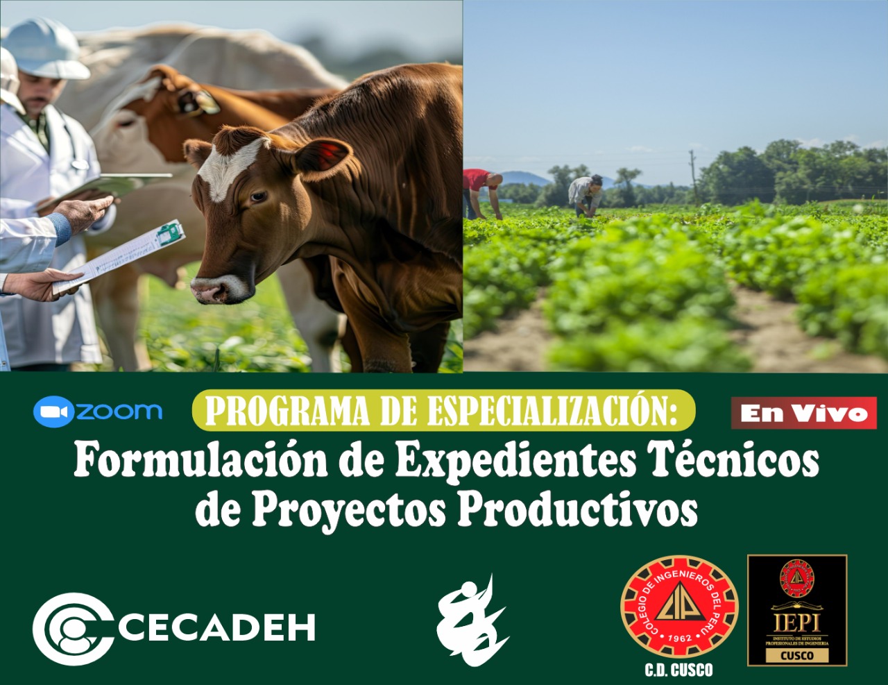 1GRUPO-2025 – 8MAYO-PROGRAMA DE ESPECIALIZACION: FORMULACION DE EXPEDIENTES TECNICOS DE PROYECTOS