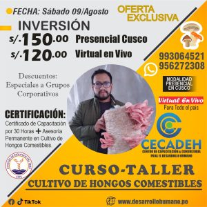 3GRUPO-CURSO-TALLER DE HONGOS COMESTIBLES