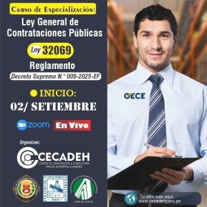 3GRUPO-2025- CURSO DE ESPECIALIZACION: LEY GENERAL DE CONTRATACIONES PUBLICAS