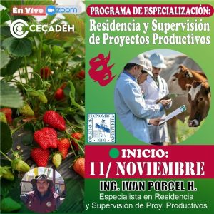 2GRUPO -2025-PROGRAMA DE ESPECIALIZACION: RESIDENCIA Y SUPERVISION DE PROYECTOS PRUDUCTIVOS